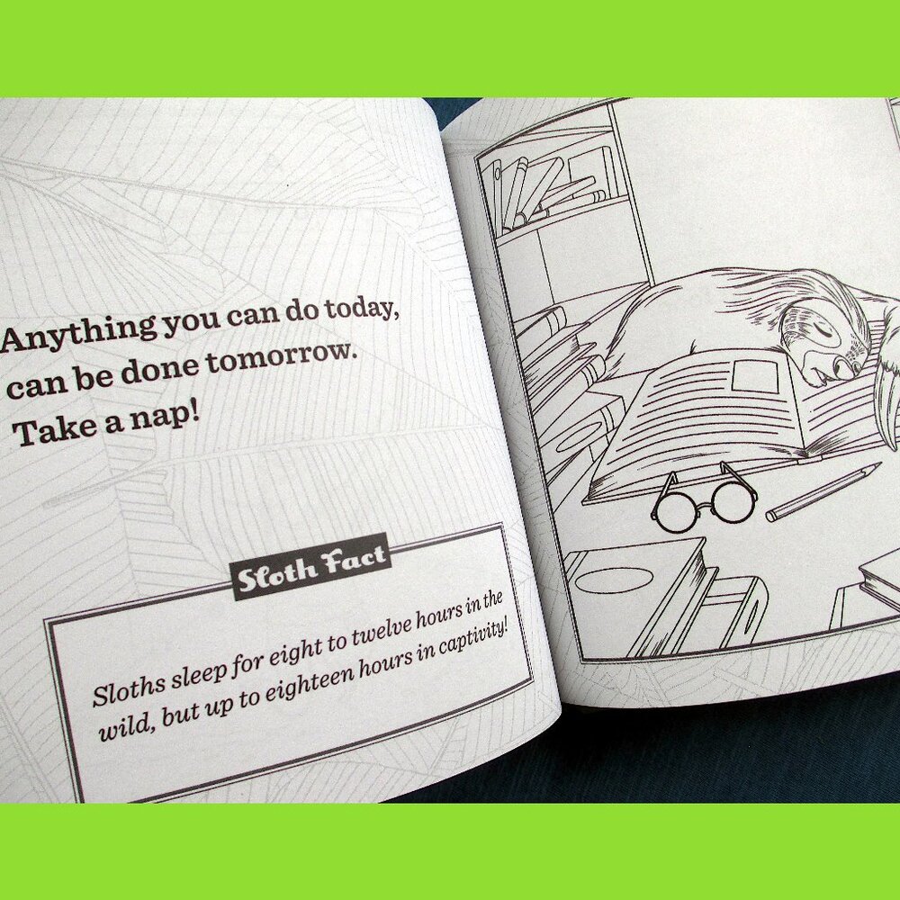 Book: Life Lessons from a Sloth, by Heneghan, Mills, & Sturgeon - Picture 6 of 13